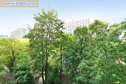 Mieszkanie Sprzedaż  Wola Krochmalna